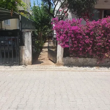 Apartamento Mint Manor